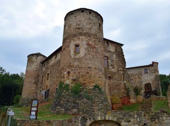 Excursión A pie Orléat - lezoux cote nature - Photo