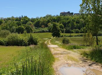 Excursión Senderismo Faycelles - Faycelles StEulalie J1+ - Photo