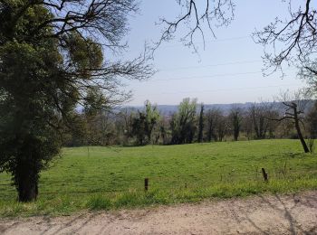 Trail Walking Clichy-sous-Bois - chevaux et dhyus - Photo