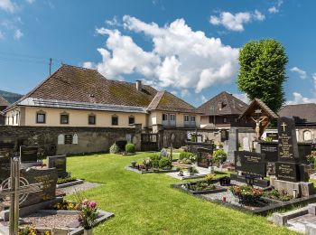 Excursión A pie Glödnitz - Altenmarkt-Weissberg - Photo