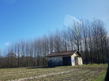 Tour Auto Monein - atelier3 - Photo