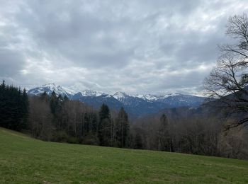 Randonnée Marche Saint-Ferréol - Presque le château de Montaigu - Photo