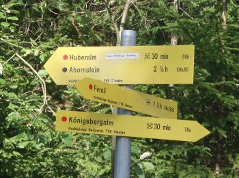 Percorso A piedi Dienten am Hochkönig - Fischerstüberl-Schwarzenbachtal - Photo