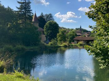 Excursión Senderismo L'Abergement-de-Varey - L'Abergement-de-Varey - Château Les Allymes - Photo
