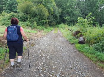 Percorso Marcia Morlaàs - MORLAAS du LEP au luy - Photo