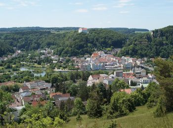 Excursión A pie Riedenburg - Rundweg Riedenburg 17 - Photo