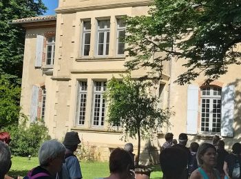 Randonnée Marche Saint-Félix-Lauragais - rando fermes - Photo