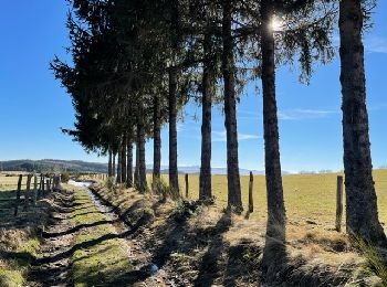 Tour Wandern Cherier - Les Moulins Chérier : entre Les Faux et Montloup - Photo