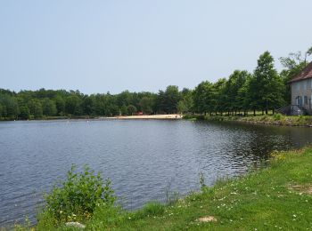 Randonnée Marche Saint-Estèphe - St estephe - Photo