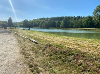 Tour Mountainbike Ormoy-le-Davien - Boucle Ormoy le Davien - Mareuil sur Ourcq -  Ormoy le Davien - Photo