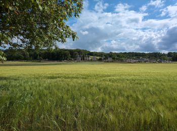 Randonnée Marche Chinon -  Parilly - Zig zag Ligré - 24.4km 330m 5h30 (50mn) - 2024 05 24 - Photo