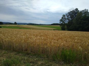 Randonnée Marche Les Voivres - étang L'allemand - Photo