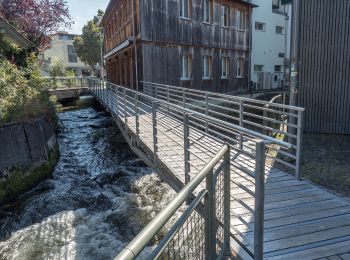 Randonnée A pied Reisiswil - CH-Langenthal - Hohwacht - Photo