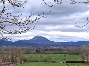 Randonnée Marche Bromont-Lamothe - Bromont_Puy_Neuffont - Photo