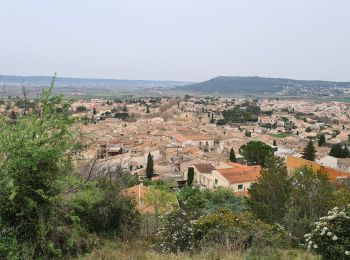 Excursión Senderismo Congénies - Congenies-Mazet-Sincans-Calvisson - Photo