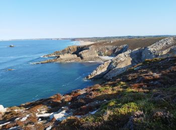 Trail Walking Crozon - La randonnée du cap de la Chèvre  - Photo