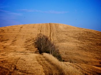 Tocht Te voet Volterra - Dolce campagna, antiche mura 22 - Photo