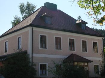 Excursión A pie Gemeinde Rohr im Gebirge - Rohr im Gebirge - Schacherkreuz-Jochart - Photo