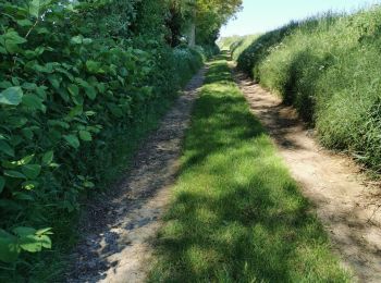 Excursión Senderismo Grévillers - BOUCLE GREVILLERS-WARLENCOURT EAUCOURT- LIGNY TILLOY - GREVILLERS - Photo