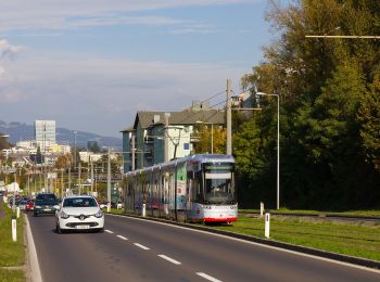 Tocht Te voet Leonding - Zaubertalrunde - Photo