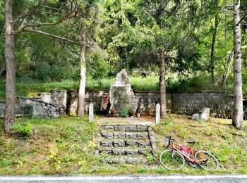 Tour Zu Fuß Casina - Sella di Monte Barazzone - Barazzone - Mulino di Cortogno - Ariolo - Roncolo - Pineto - Photo