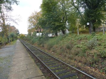 Excursión A pie Hradec - [Z] Hradec - Vytůň - Photo