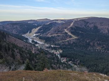 Trail Walking La Bresse - 2023-04-14 Marche Lac de Lispach vers Abri Collet de Etang - Photo