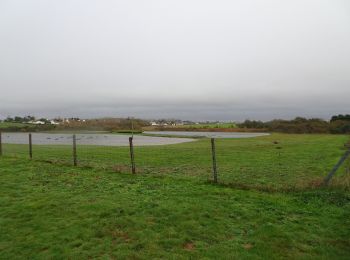 Percorso A piedi Cauville-sur-Mer - Cauville sur mer - Photo