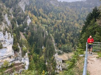 Trail Walking Grand'Combe-des-Bois - GR 5 2 eme jour - Photo