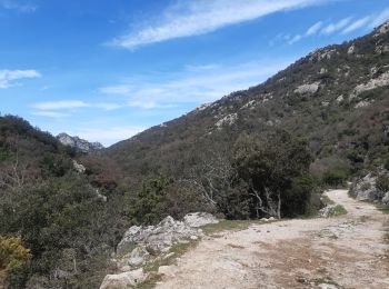 Percorso Marcia Sorède - Lavail,  petit aller-retour le long de la massane - Photo