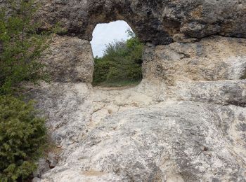 Randonnée Marche Forcalquier - Forqualquier - Les Mourres 22-05-2021 - Photo