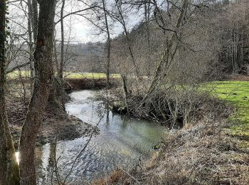 Tocht Te voet Alfdorf - Alfdorfer Wanderweg Nr.6 - Photo