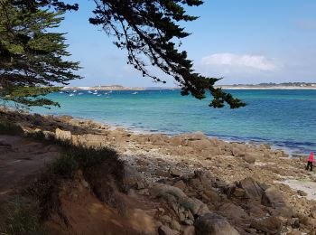 Excursión Senderismo Pleumeur-Bodou - Île Grande  - Photo