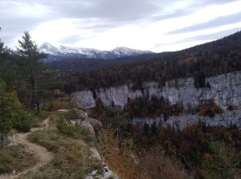 Excursión Senderismo Villard-de-Lans - crête de Ferrière et pas de Rages  - Photo