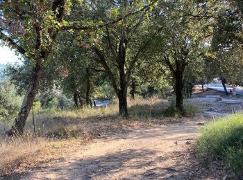 Tocht Mountainbike Mouans-Sartoux - Parcours Clavari - Photo