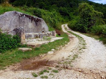 Randonnée A pied Norcia - IT-851 - Photo