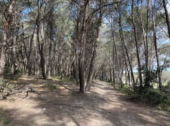 Tocht Stappen Istres - Martigues entre les étangs de Citis et Lavalduc - Photo