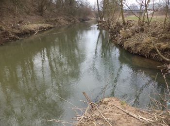 Tocht Te voet Wächtersbach - Wächersbach - Panoramaweg - Photo