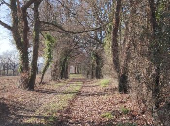 Tocht Mountainbike Saint-Puy - Autour de Saint_Puy - Photo