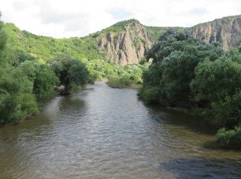 Trail On foot Bad Kreuznach - CLASSICtour Ebernburg - Photo