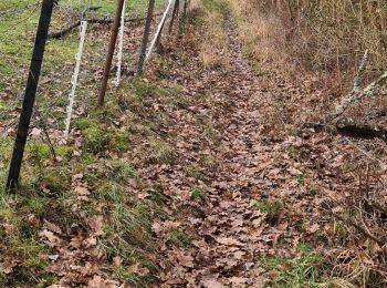 Tour Wandern Maidières - Maidieres - Boucle des vergers - variante - Photo