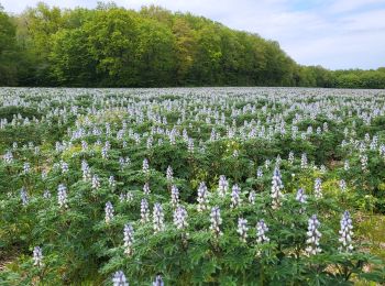 Tour Wandern Rivières - braconne2204 - Photo