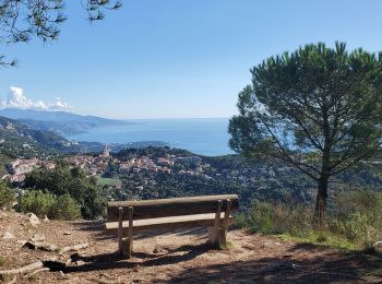 Randonnée Marche La Turbie - fort de la Revère - Photo