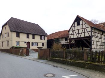 Randonnée A pied Heppenheim - Rundwanderweg Kirschhausen 1 - Photo