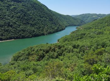 Randonnée Vélo de route Saint-Rome-de-Tarn - Raspes du Tarn Pinet  - Photo