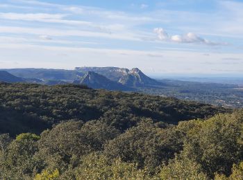 Randonnée Marche Eygalières - Autour du Petit & Gros Calan - Photo