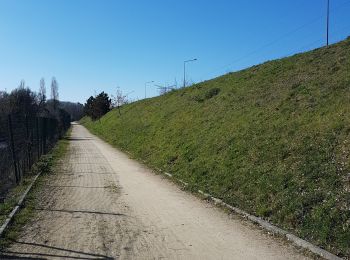 Trail Walking Saint-Barthélemy-d'Anjou - Saint Barthélemy d'Anjou - Photo