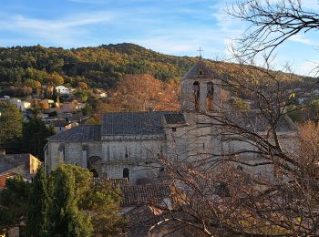 Tour Wandern Malaucène - Autour de Malaucène  - Photo