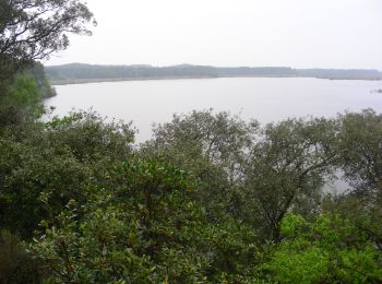 Tocht Stappen Carcans - CARCANS  ET ETANG DE COUSSEAU - Photo