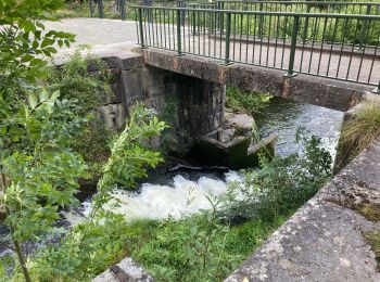 Tocht Stappen Seneffe - Seneffe - Ronquières / 2020-08-22 - Photo